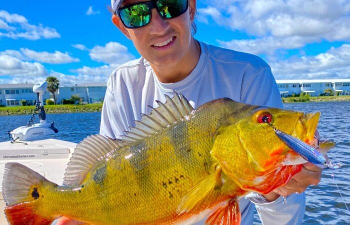 South Florida Fishing Charters: #1 Service In Florida